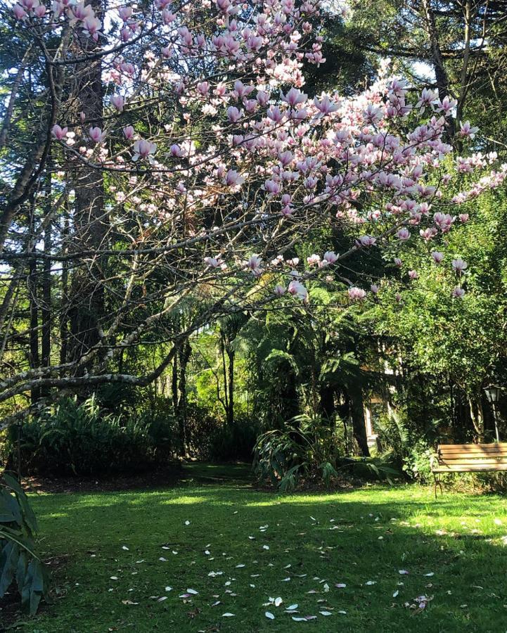 Casa Goldoni Gramado Villa Buitenkant foto